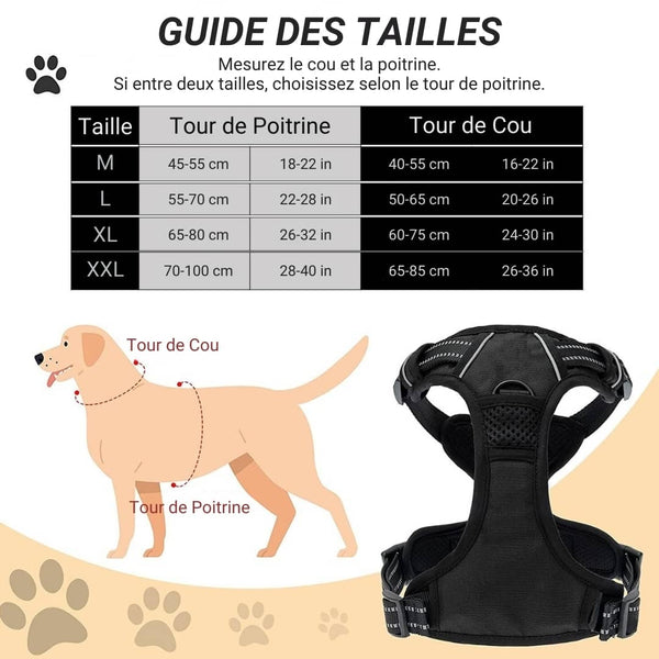 Harnais pour chien