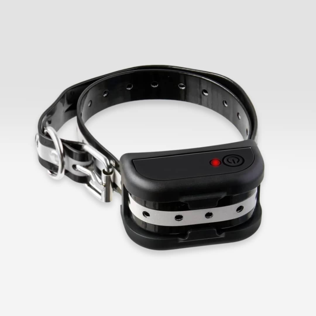 Collier récepteur additionnel pour anti-fugue sans-fil SafeZone™