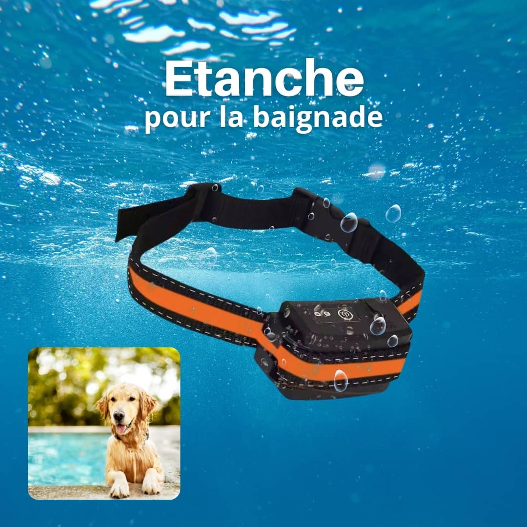 Collier récepteur additionnel pour anti-fugue avec fil SafeSpace™