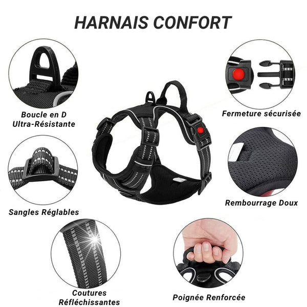 Harnais pour chien