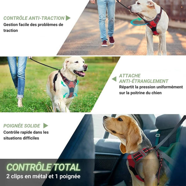 Harnais pour chien