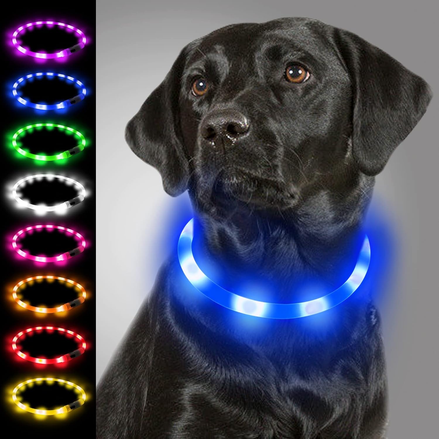 Collier lumineux pour chien (3 tailles et 4 couleurs au choix)