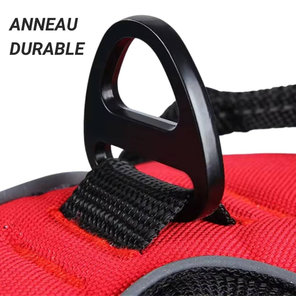 Harnais pour chien