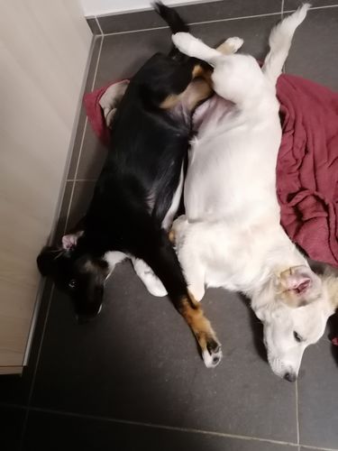 Photo de l'avis de Francine D.