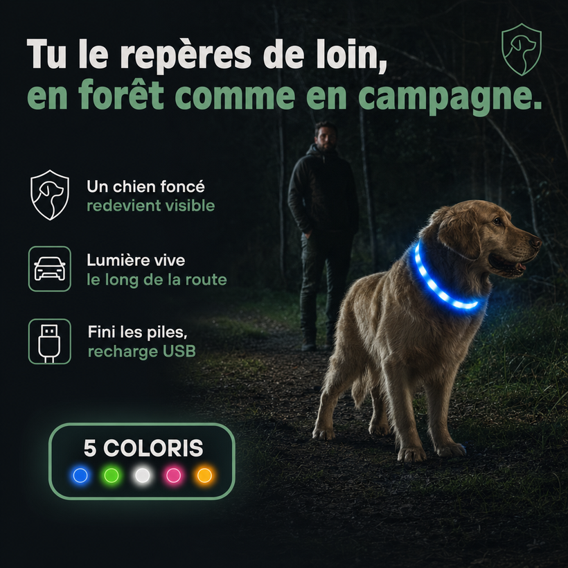 Collier lumineux LED rechargeable PERROWALL : en situation réelle