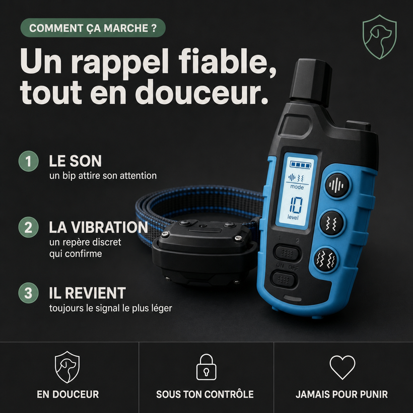 Collier d'éducation SecureTouch Pure sans choc électrique PERROWALL : comment ça marche