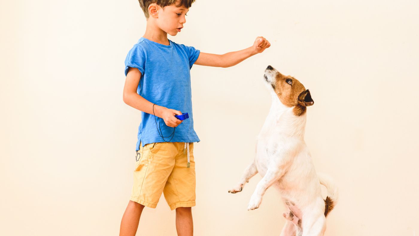 L'éducation positive : la clé pour prévenir la fugue chez les chiens