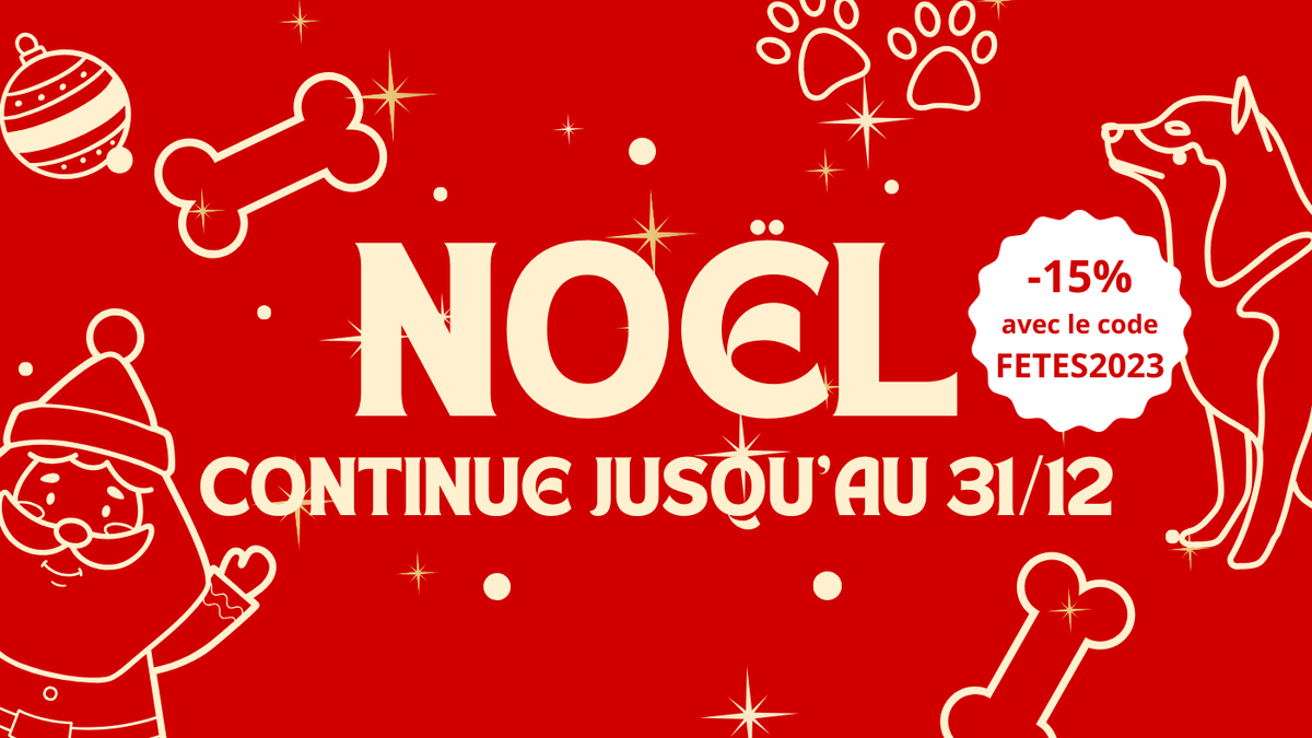 Noël Continue avec La Clôture Anti Fugue : Sécurité et Liberté pour Vos Animaux