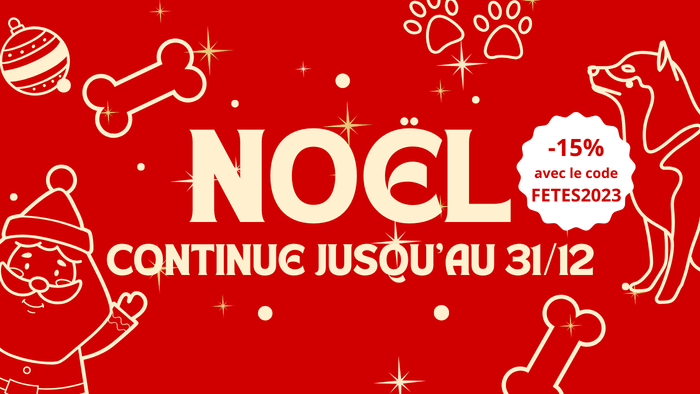 Noël Continue avec La Clôture Anti Fugue : Sécurité et Liberté pour Vos Animaux