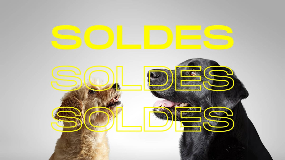 SOLDES D'HIVER, C'EST MAINTENANT OU JAMAIS !