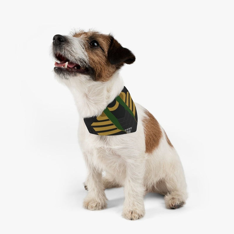 5 raisons d'adopter un collier anti fugue pour chien à poil long