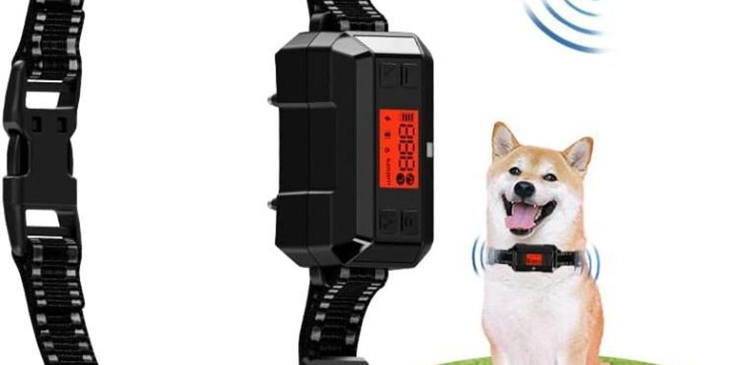WWVVPET - Clôture Anti-fugue Sans Fil Pour Chien GPS - Collier étanche IPX7 - Rayon 30-1000 M - Pour Grands Espaces Extérieurs - 4