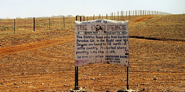 waterproof dog fence