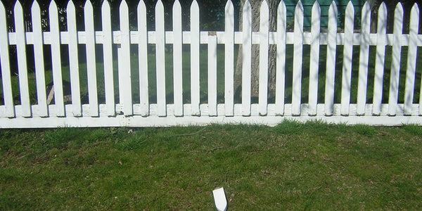 dog using PetSafe anti-escape fence in backyard