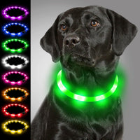 Collier lumineux LED rechargeable — vue 8