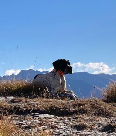 Photo de l'avis de patrick M.