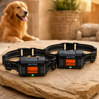 Clôture GPS anti-fugue GeoGuard PERROWALL : kit 2 colliers