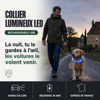 Collier lumineux LED rechargeable PERROWALL : le bénéfice essentiel