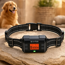 GeoGuard (GPS)
