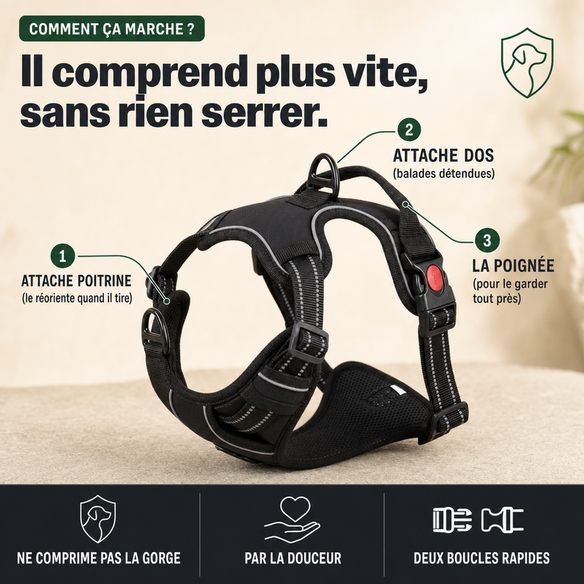 Harnais anti-traction chien, confort et contrôle PERROWALL : comment ça marche