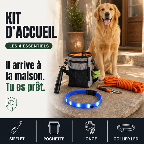 Kit d’accueil chien, 4 essentiels PERROWALL : le bénéfice essentiel
