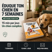 Dresser votre chien en 7 semaines (guide) PERROWALL : le bénéfice essentiel