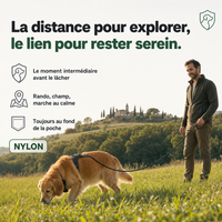 Laisse de travail longe chien, rappel en liberté PERROWALL : en situation réelle