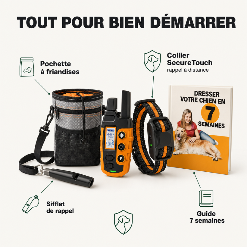 Pack Premier Dressage, SecureTouch + accessoires PERROWALL : le contenu du pack