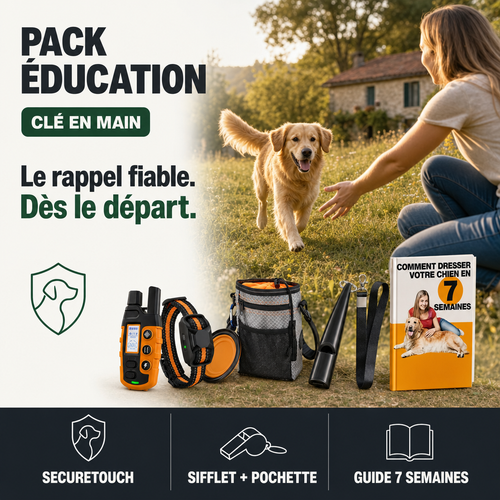 Pack Premier Dressage, SecureTouch + accessoires PERROWALL : le bénéfice essentiel