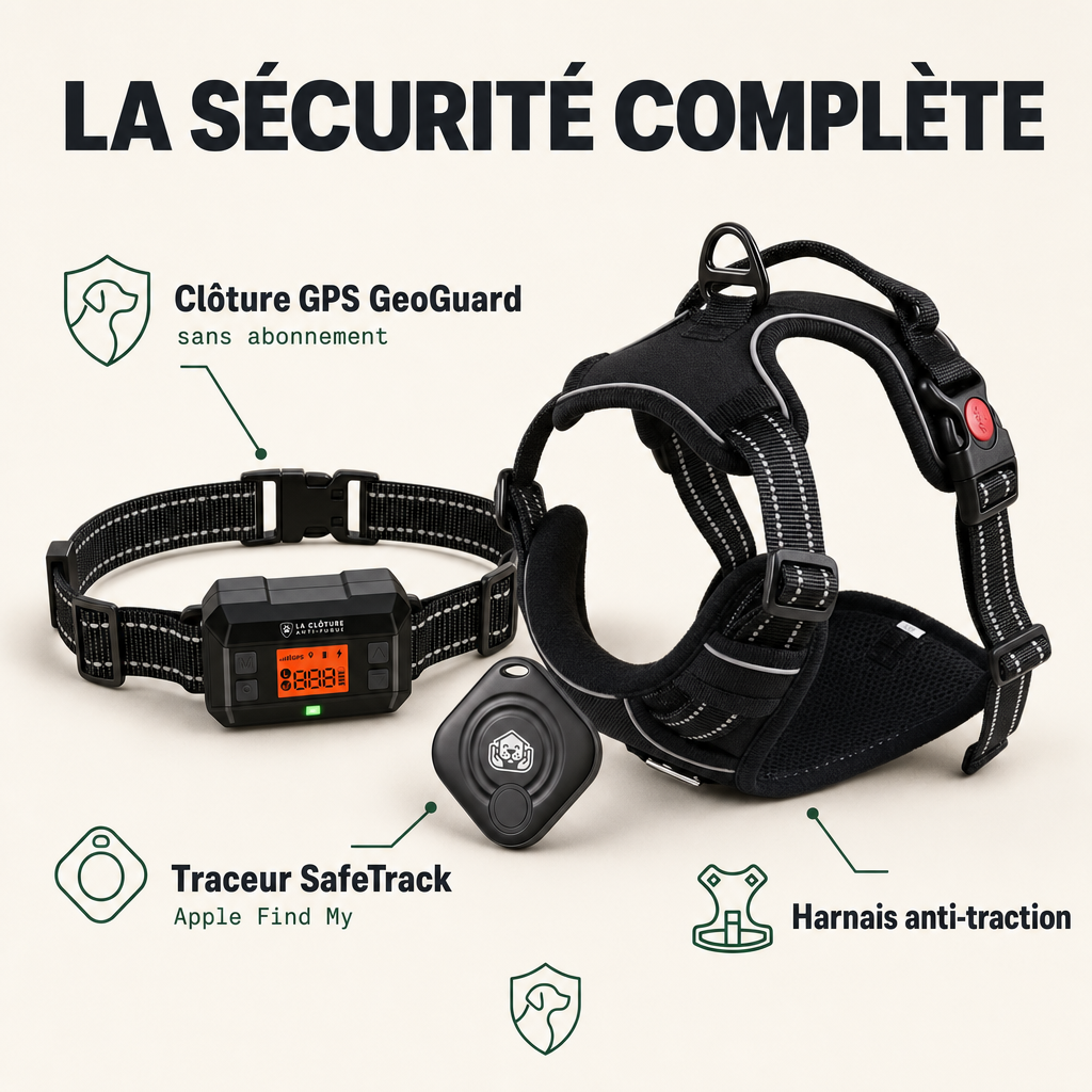 Pack Sérénité GPS, GeoGuard + sécurité PERROWALL : le contenu du pack
