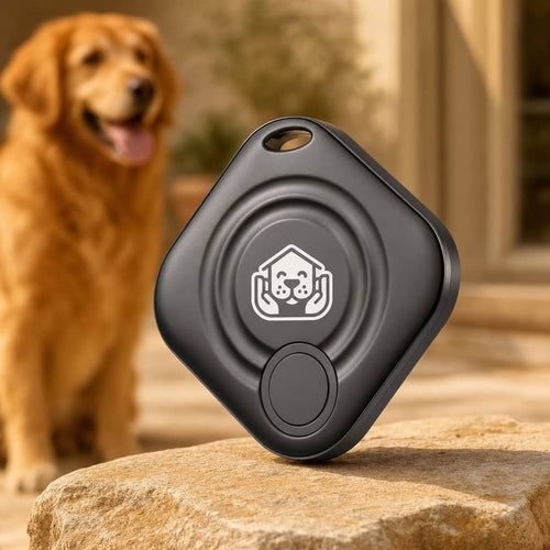 SafeTrack, traceur Apple Find My pour chien et chat