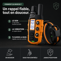 Collier de dressage SecureTouch longue portée — vue 3