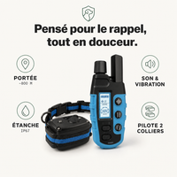 Collier d'éducation SecureTouch Pure sans choc électrique PERROWALL : caractéristiques clés