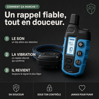 Collier d'éducation SecureTouch Pure sans choc électrique PERROWALL : comment ça marche
