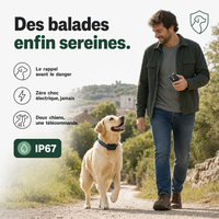 Collier d'éducation SecureTouch Pure sans choc électrique PERROWALL : en situation réelle