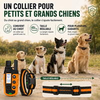 Collier de dressage SecureTouch longue portée — vue 9