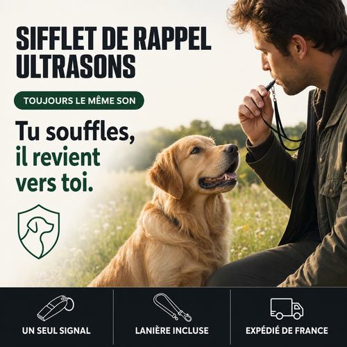 Sifflet de rappel ultrasons chien, signal clair PERROWALL : le bénéfice essentiel
